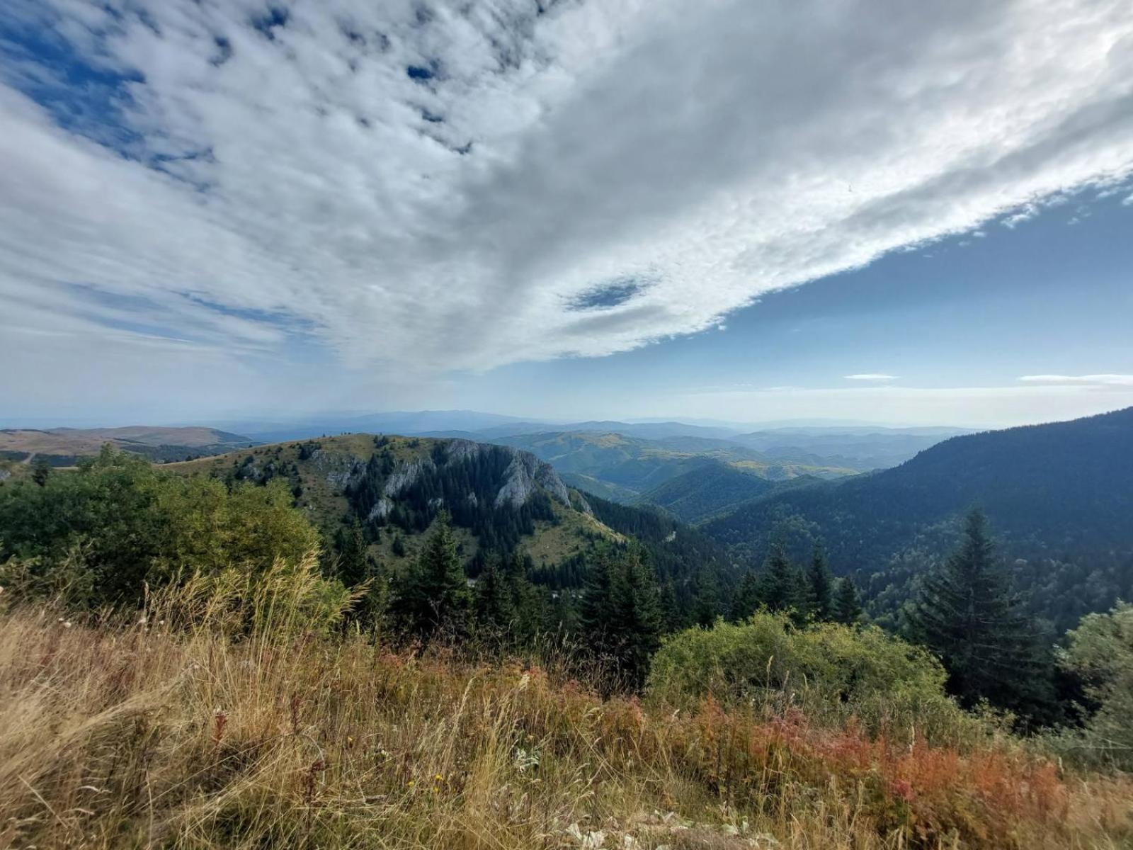 Apartment Maja Konaci Kopaonik Dış mekan fotoğraf
