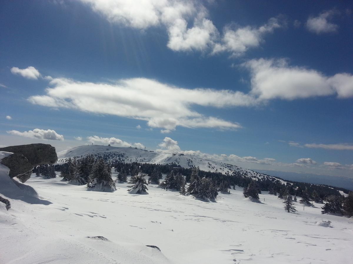 Apartment Maja Konaci Kopaonik Dış mekan fotoğraf